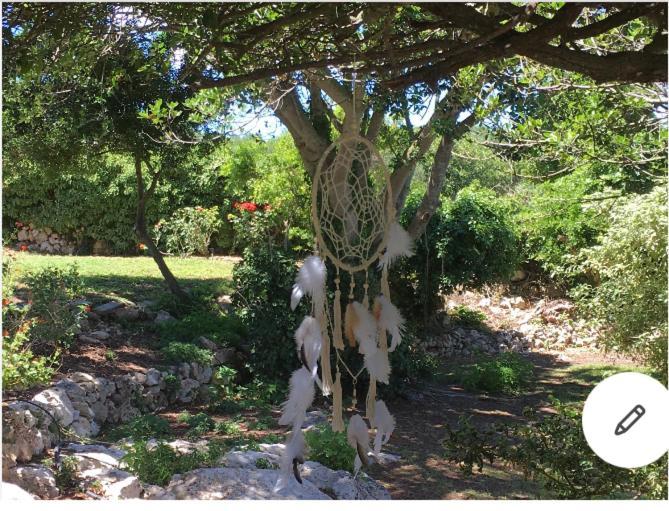 פרריאס Binicalsitx Casa Rural מראה חיצוני תמונה