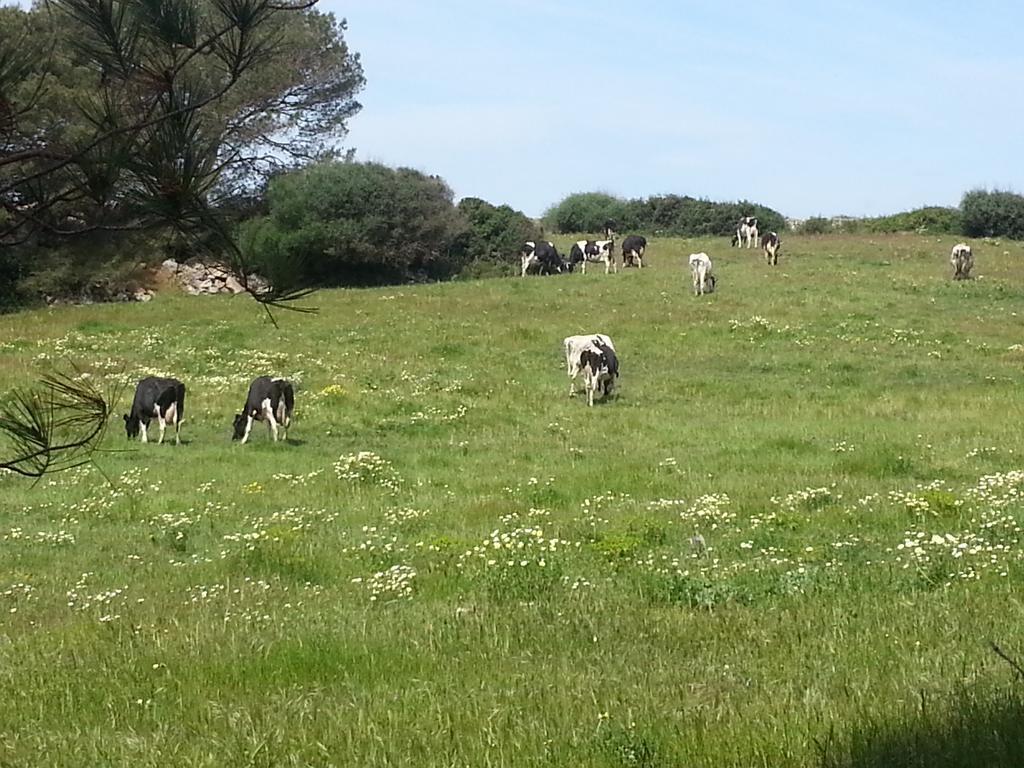 פרריאס Binicalsitx Casa Rural מראה חיצוני תמונה